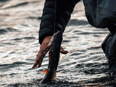 Fishing