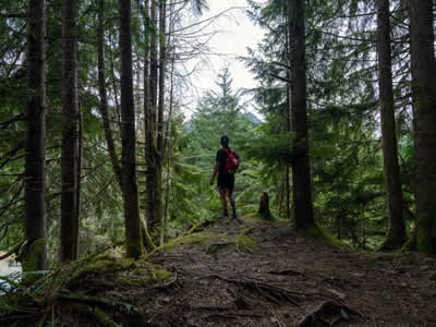 Hiking